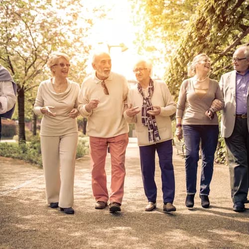 A group of happy seniors are strolling down a park during spring time / Un groupe de seniors heureux se promène dans un parc au printemps