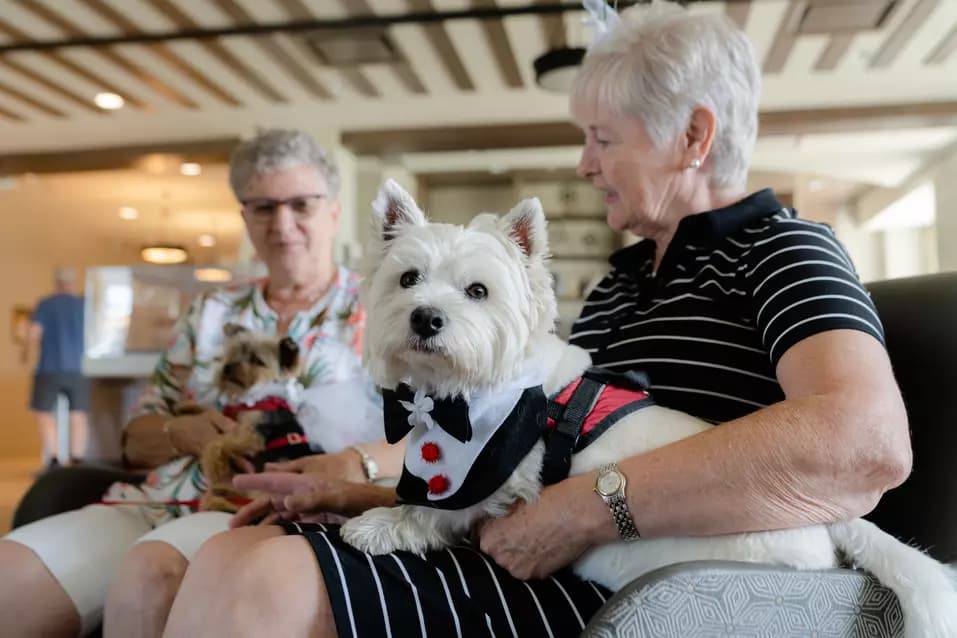 Chartwell Senior Ladies sitting with pets