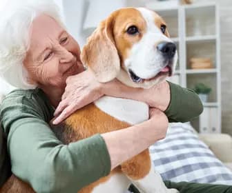 Senior woman hugging her dog at couch / Femme âgée serrant son chien dans ses bras sur le canapé