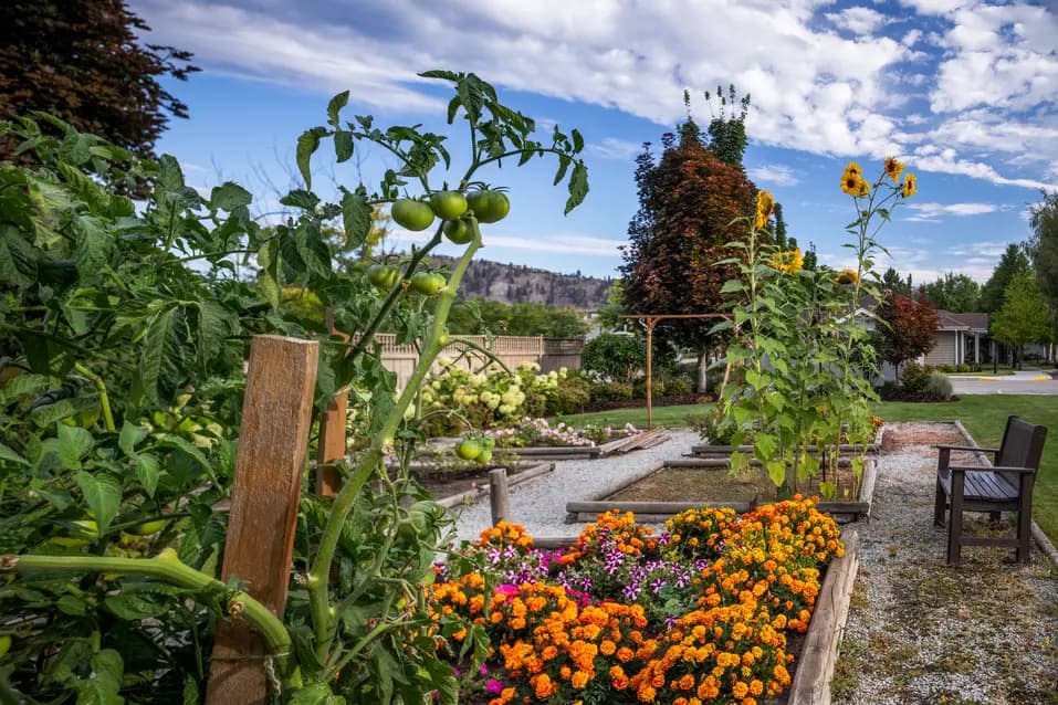 colourful gardens at chartwell chatsworth retirement residence