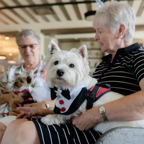 Chartwell Senior Ladies sitting with pets