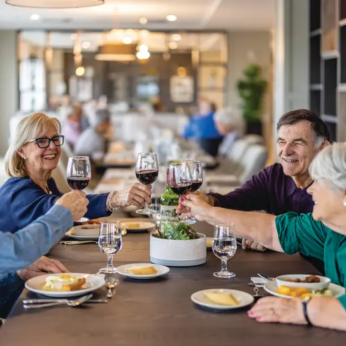Senior couples are cheering with glasses of wines / Des couples âgés trinquent avec des verres de vin