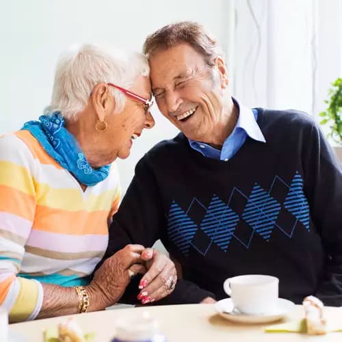 Brightly laughing senior couple on a coffee table / Couple âgé riant joyeusement autour d'une table basse