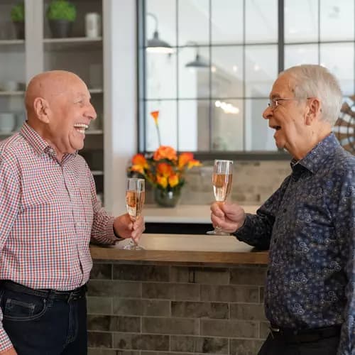 Senior men are drinking at a bar while having a joyful conversation / Des hommes âgés boivent dans un bar tout en discutant joyeusement